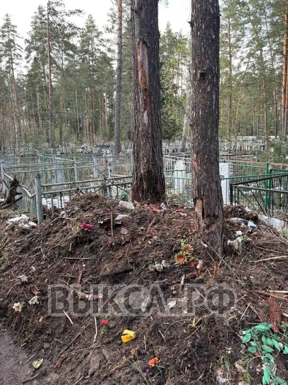 Южное кладбище: кто отвечает за чистоту?