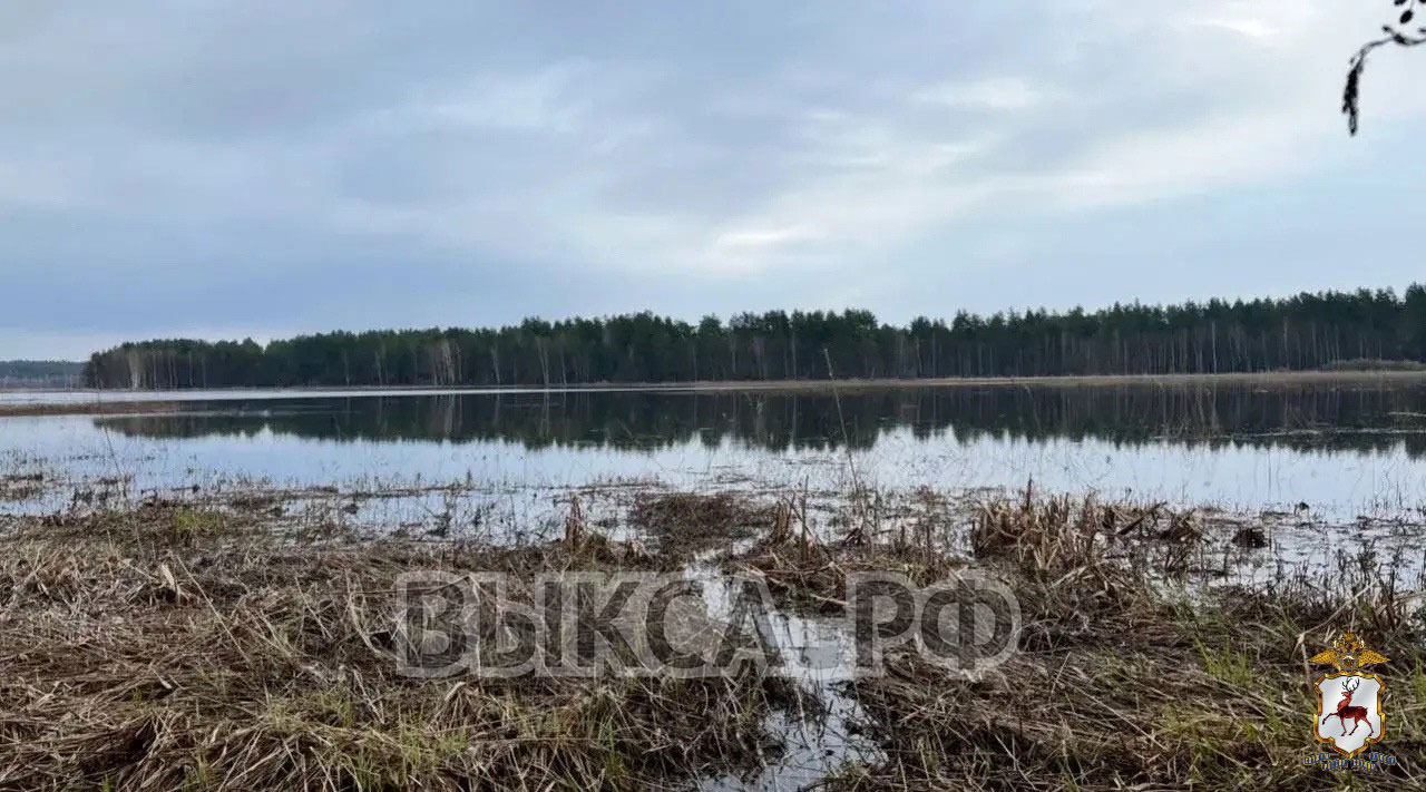 В Виле полицейский пресек незаконный вылов рыбы с использованием сети