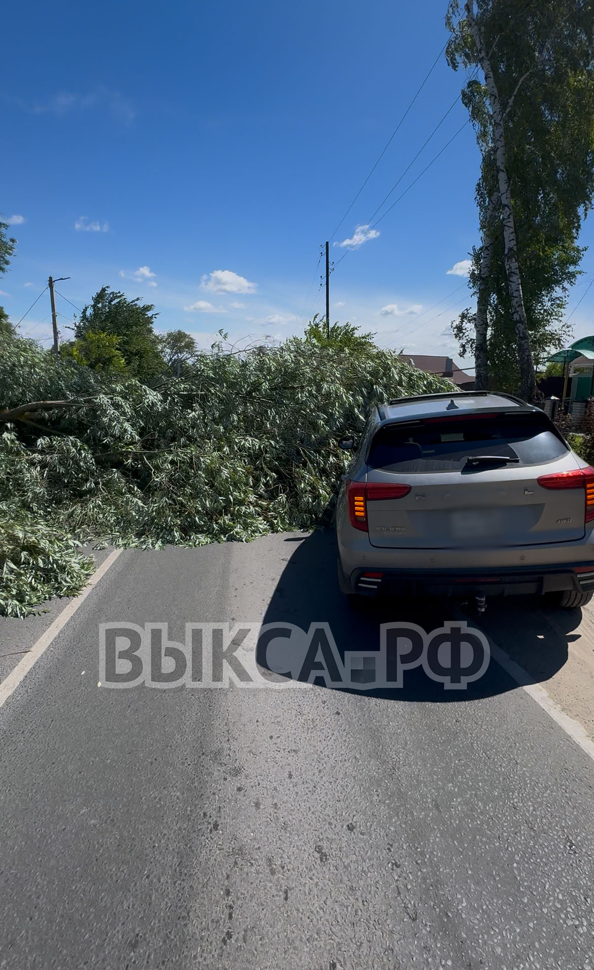 Последствия сильного ветра в Выксе