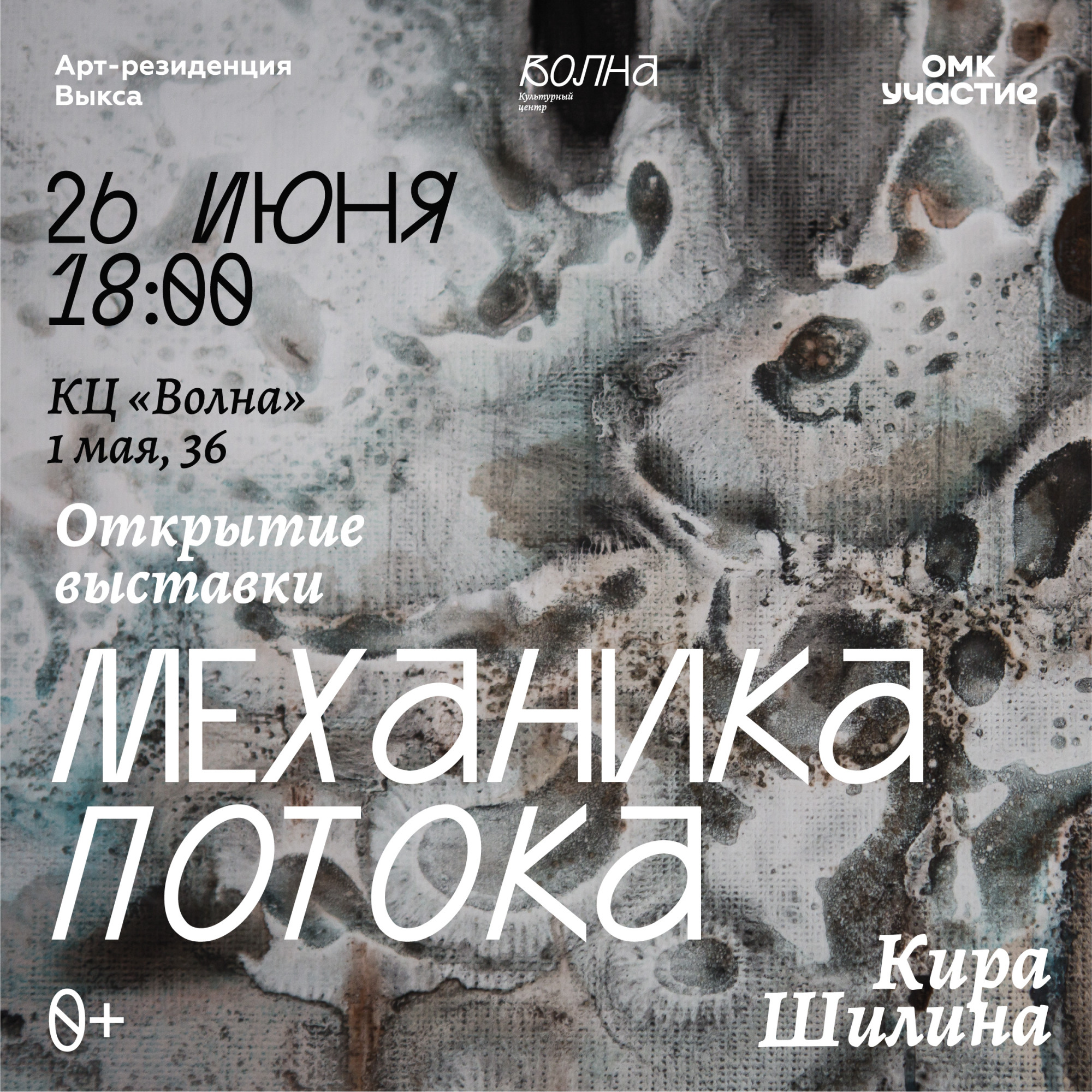 Выставка Киры Шилиной «Механика потока»