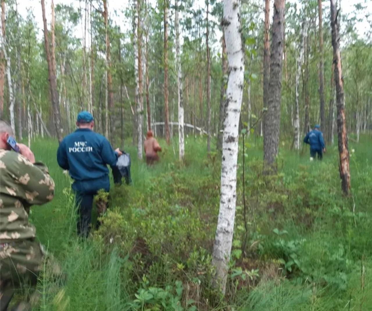 🌲 В Выксе спасли четырёх детей, заблудившихся в лесу