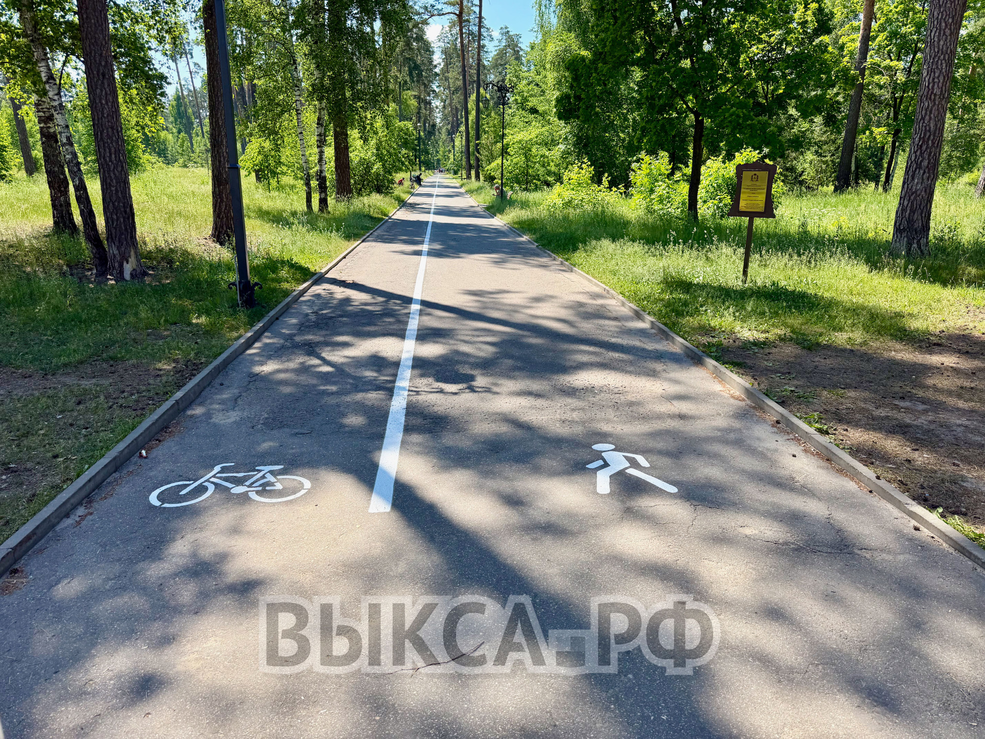В городском парке появилась дорожная разметка