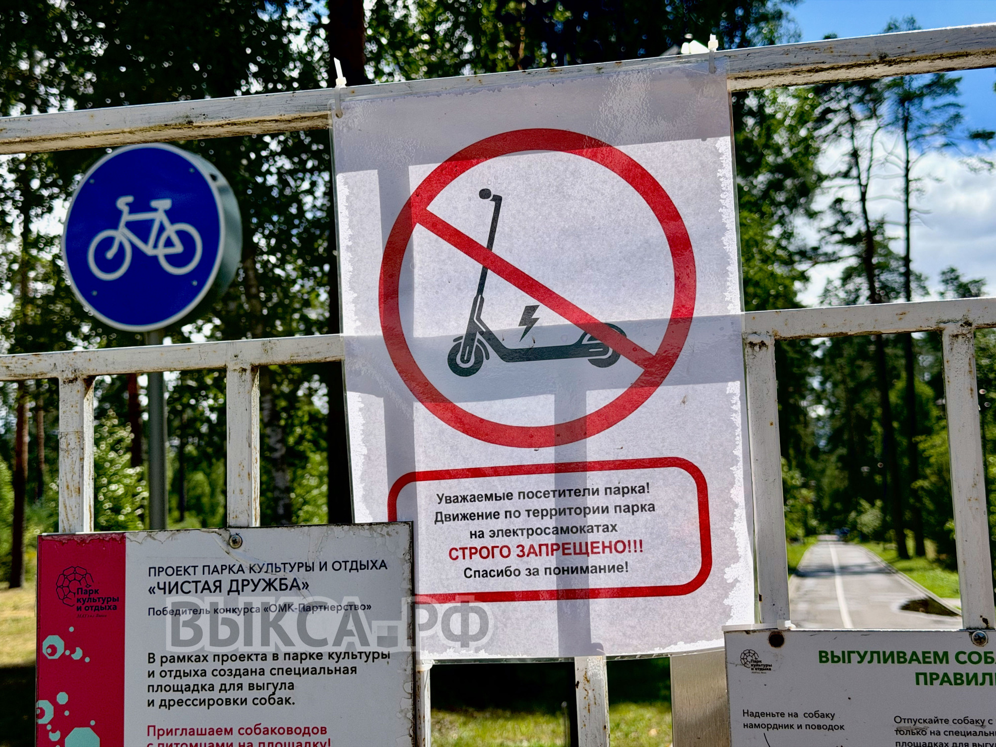 В парке и лесопосадке запретили кататься на электросамокатах и гироскутерах