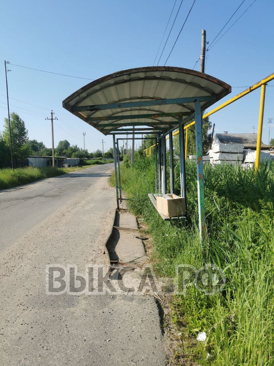 🪑 Выстояла вопреки всему