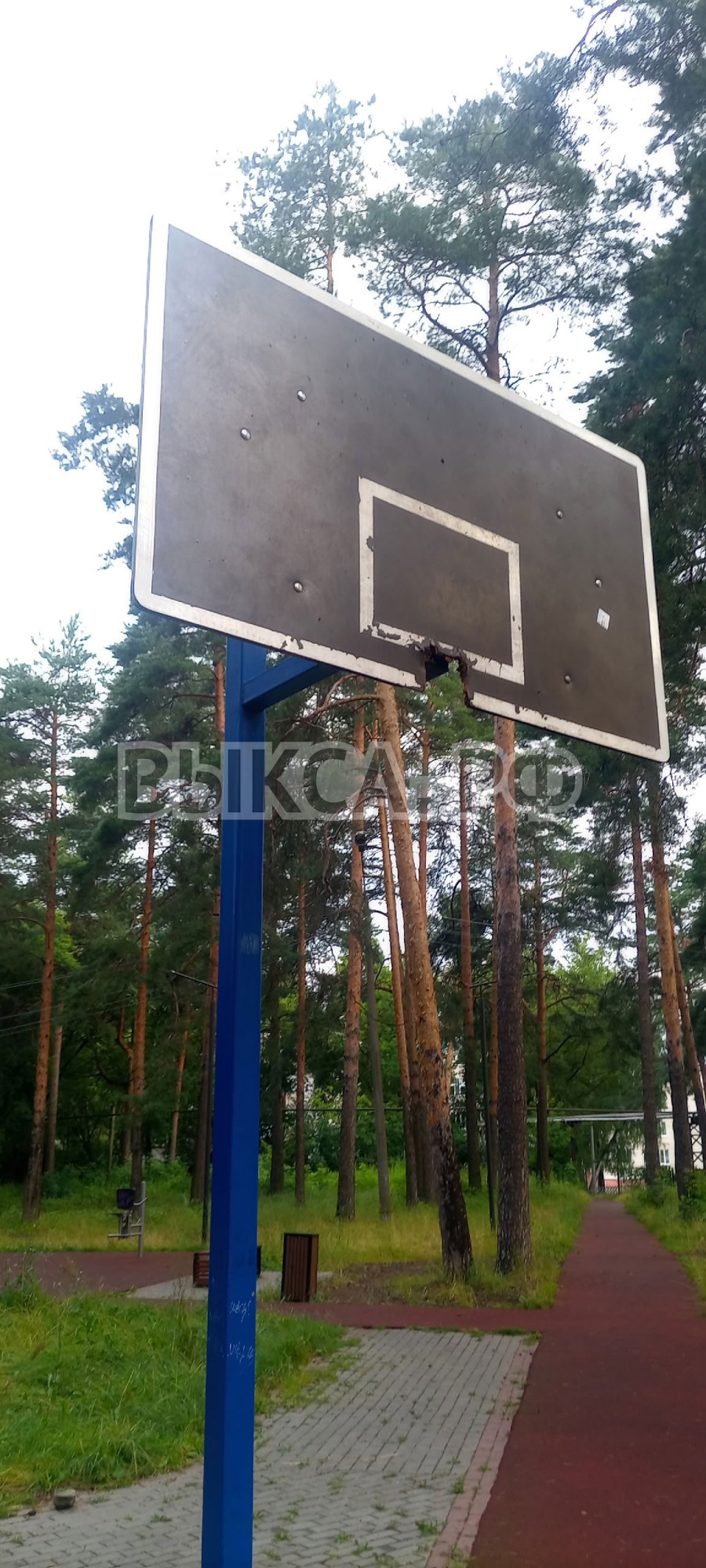 На спортивной площадке в Лесопосадке неизвестные сломали баскетбольное кольцо