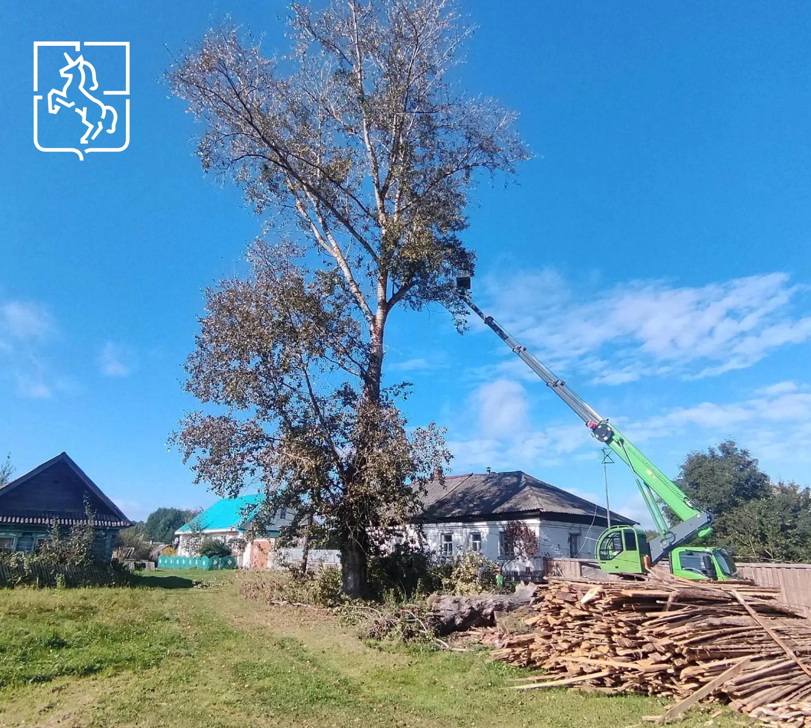 🌳 В Сноведи спилили аварийные деревья у ЛЭП. Куда обращаться с такой заявкой?